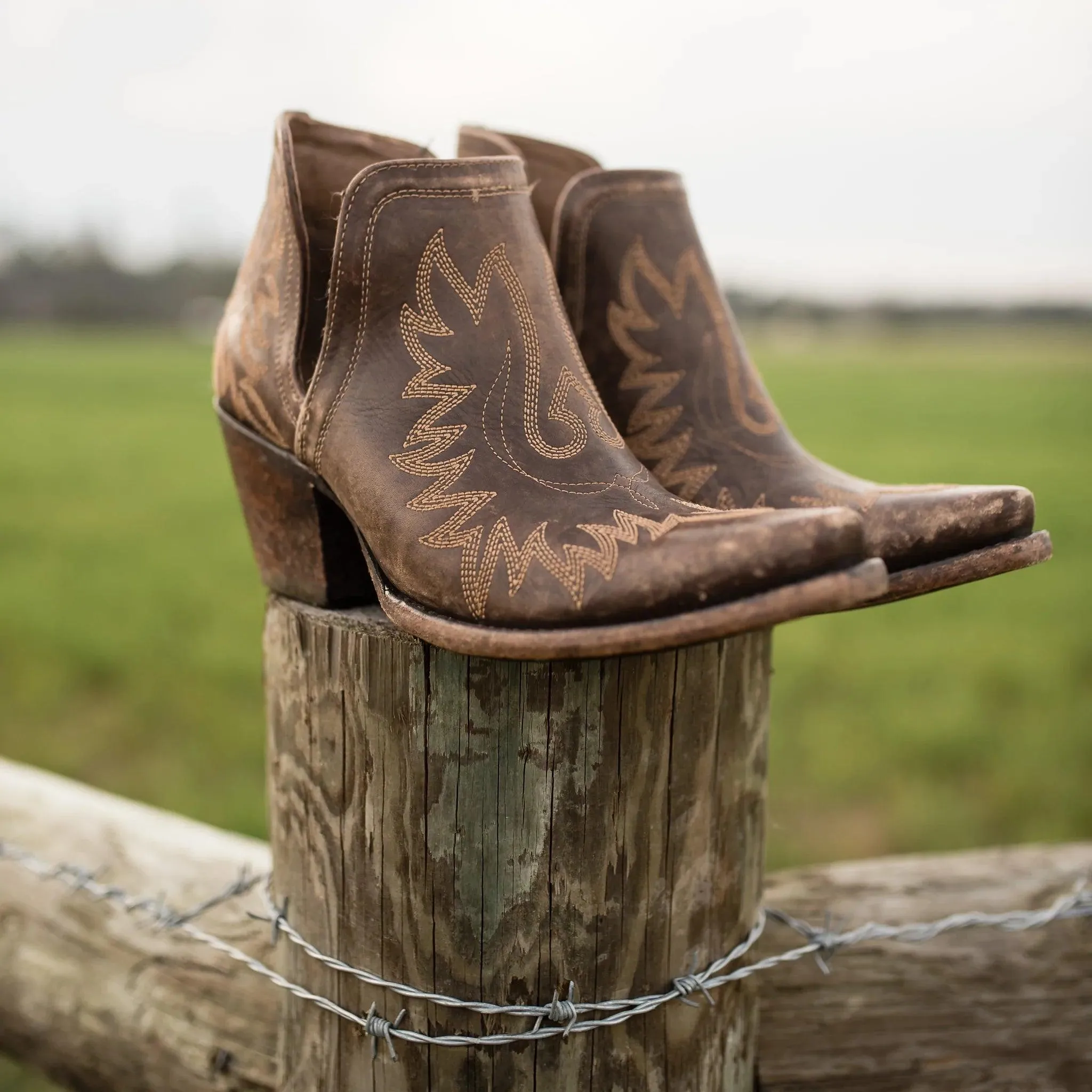 Ariat Women's Dixon Weathered Brown Ankle Boots 10027282