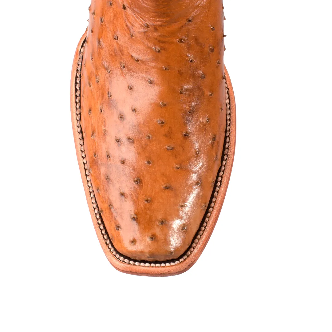 Texas Country Exotic Boot Ostrich Paja AV201